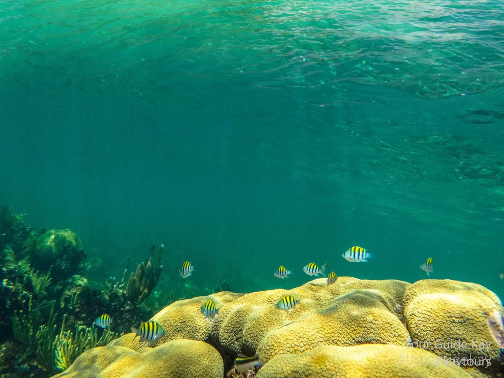 Dos grandes atributos distinguen a Quintana Roo globalmente. Su costa norte es un destino turístico de clase mundial conocido, directa o indirectamente, por millones de personas: el mayor de América Latina.