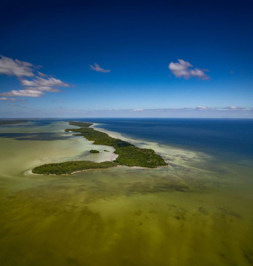 Deshabitada por seres humanos, la isla de Tamalcab se abre como una perla en la Bahía de Chetumal, con su vegetación exótica y su rica fauna, sus arenas blancas y sus cristalinas aguas, que se vuelven un imán para los visitantes que desean snorkelear o dar un paseo por un paisaje casi virgen en el Caribe mexicano.