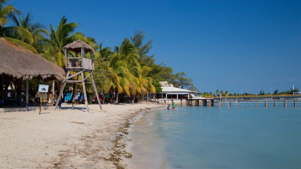 Respecto a los siglos de desarrollo de la civilización maya, existen importantes sitios en la Isla del Carmen, Campeche, que muestran el antiguo apogeo. Sobreviven en la selva o debajo de la moderna Ciudad del Carmen: Punta Estuardo (Puerto Real), Los Guarixés, Ensenada Grande, Boca Nueva, El Tiestal, Tatenam y La Caleta