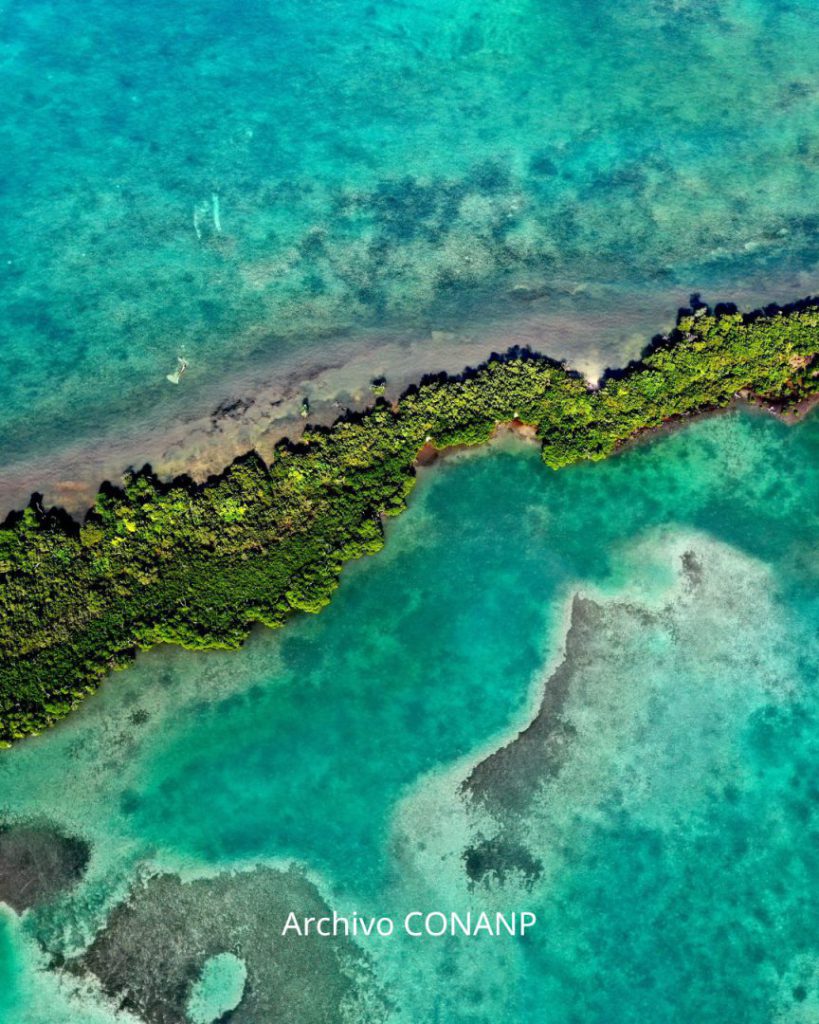 Con el propósito de conmemorar el 39.º aniversario del decreto de la Reserva de la Biosfera Sian Ka’an, se llevará a cabo la exposición “Sian Ka’an, donde nace el cielo, santuario de vida”. Este evento tiene como objetivo resaltar la relevancia de esta reserva, declarada Patrimonio de la Humanidad.